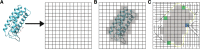 Fig. 1.