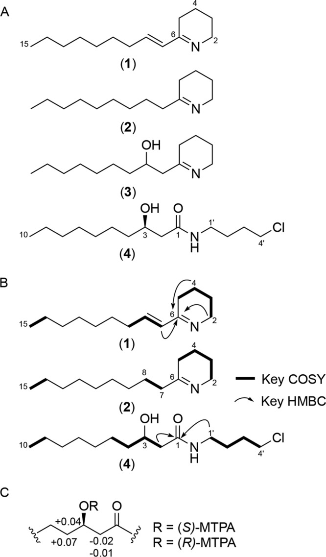 FIG 3