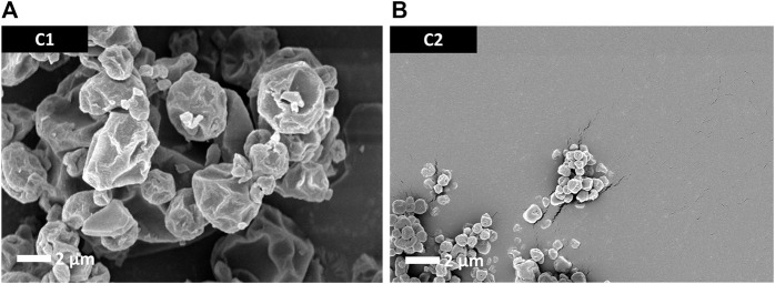 FIGURE 2