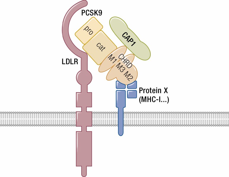 Figure 1.