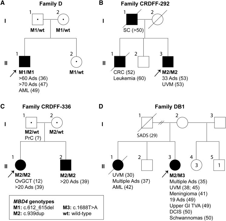 Figure 1