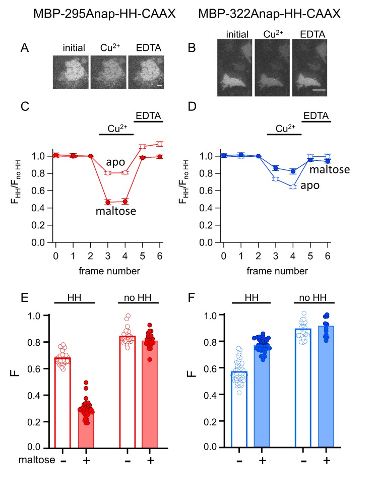 Figure 11.