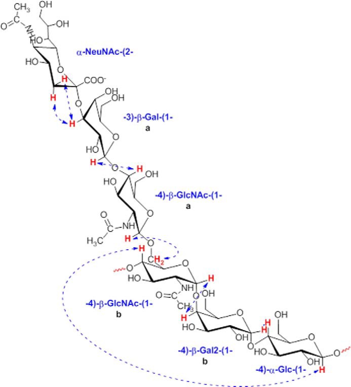 FIGURE 3.