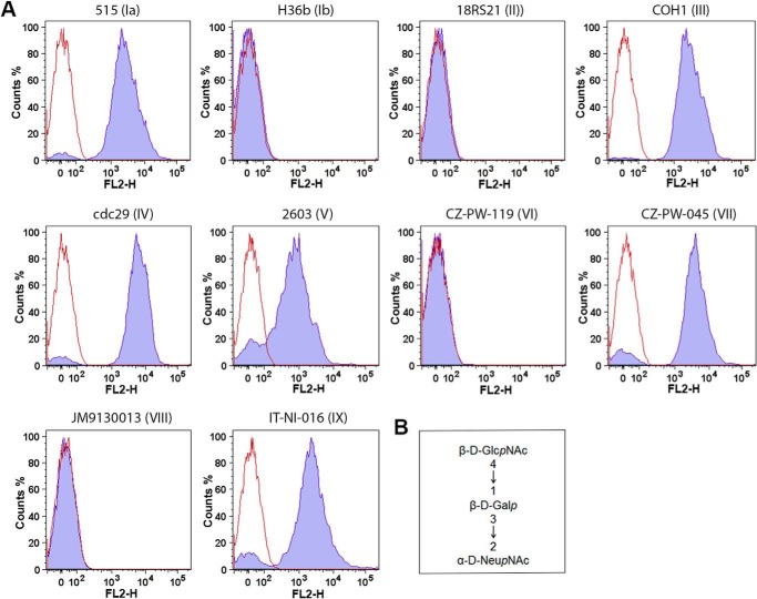 FIGURE 1.