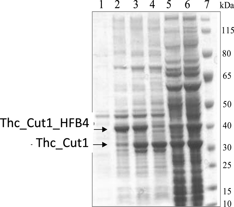 FIG 1