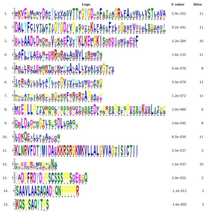 graphic file with name mmcfigs1.jpg