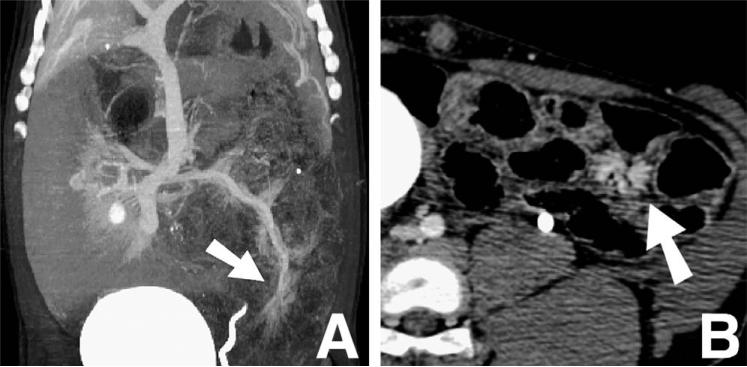 Fig. 8