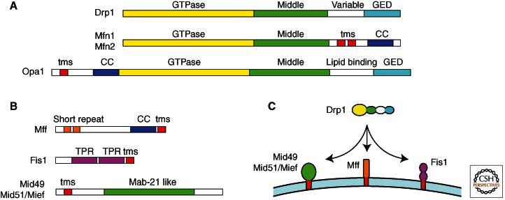 Figure 2.