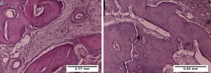 Fig. 7