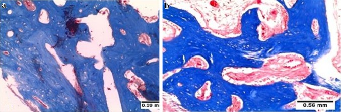 Fig. 6