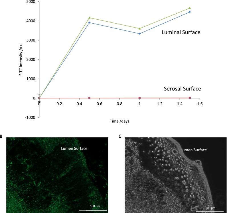 FIG. 3.