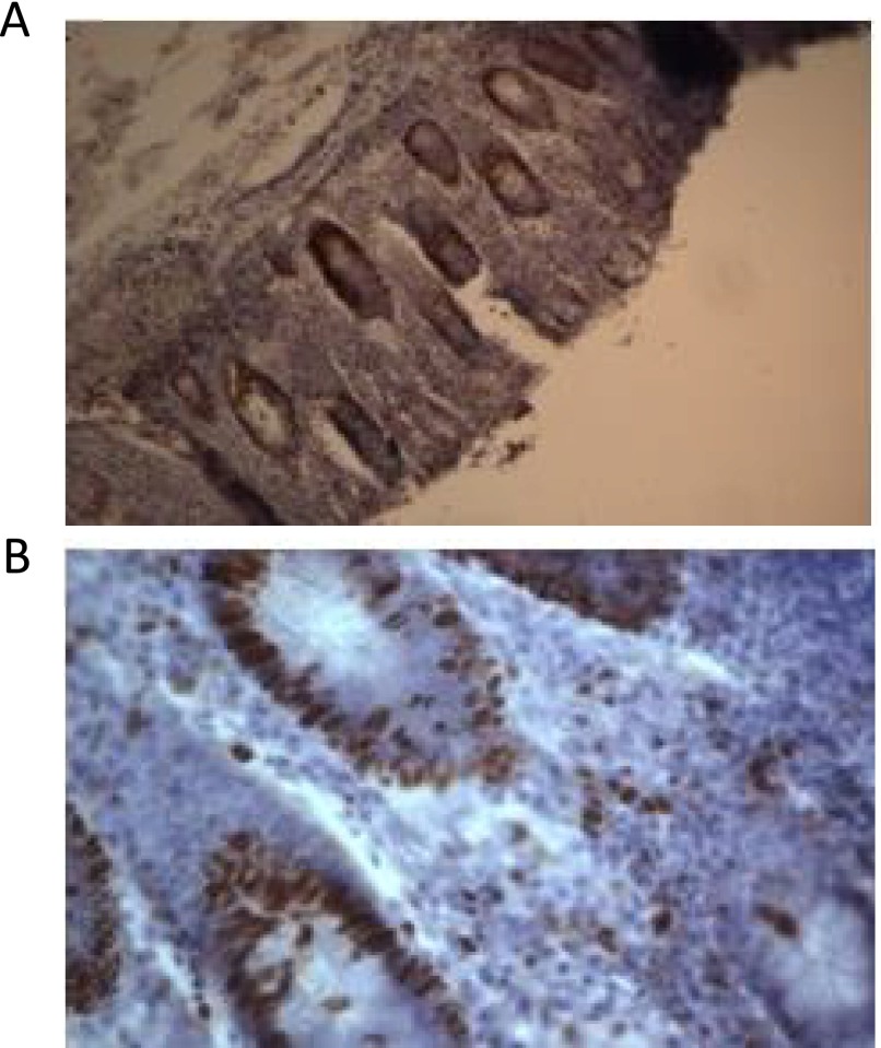 FIG. 7.