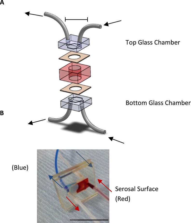 FIG. 1.