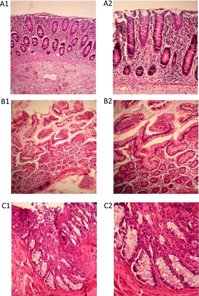 FIG. 6.