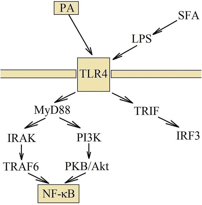 Fig. 2