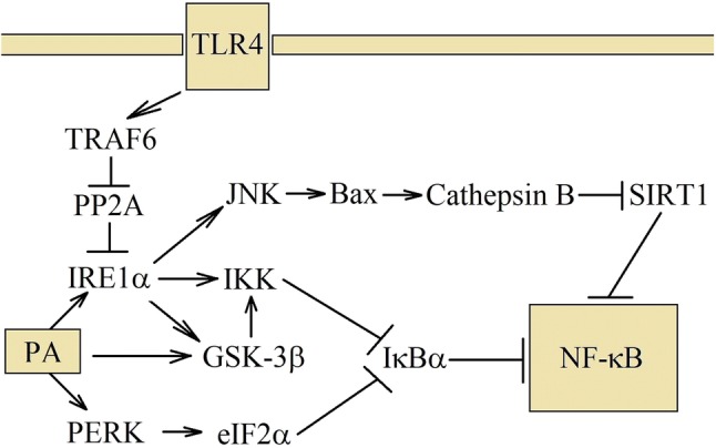 Fig. 3