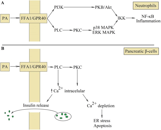 Fig. 6