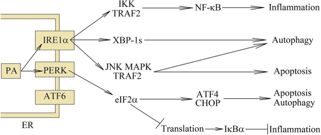 Fig. 1