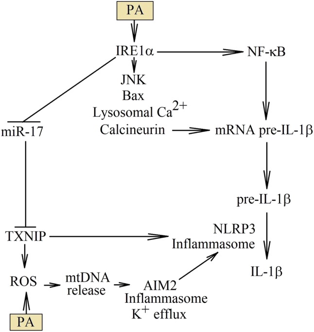 Fig. 4