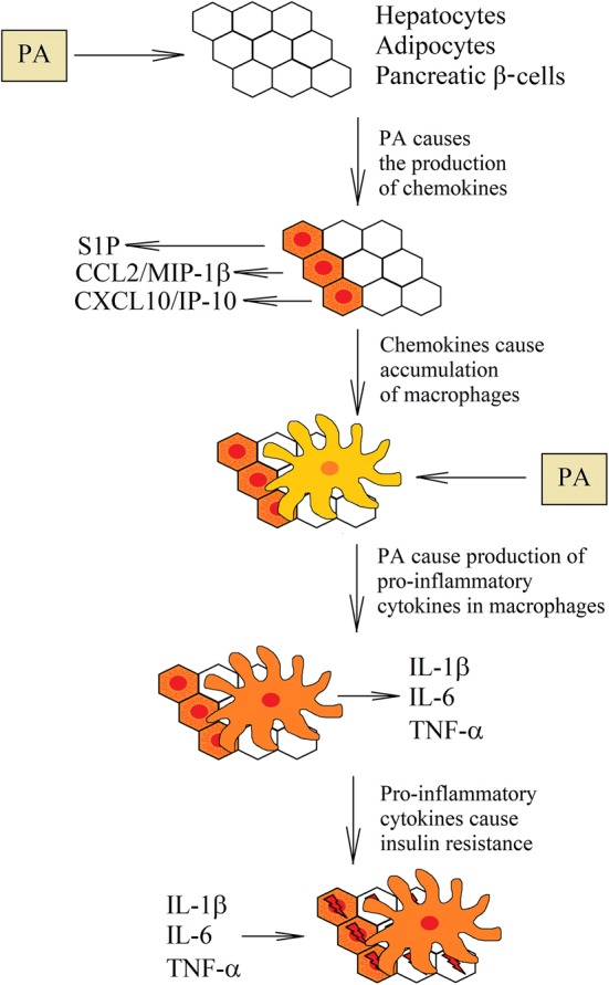 Fig. 7