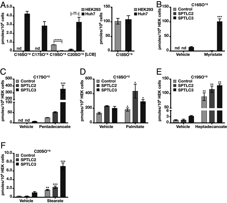 Subunit composition of the mammalian serine-palmitoyltransferase ...