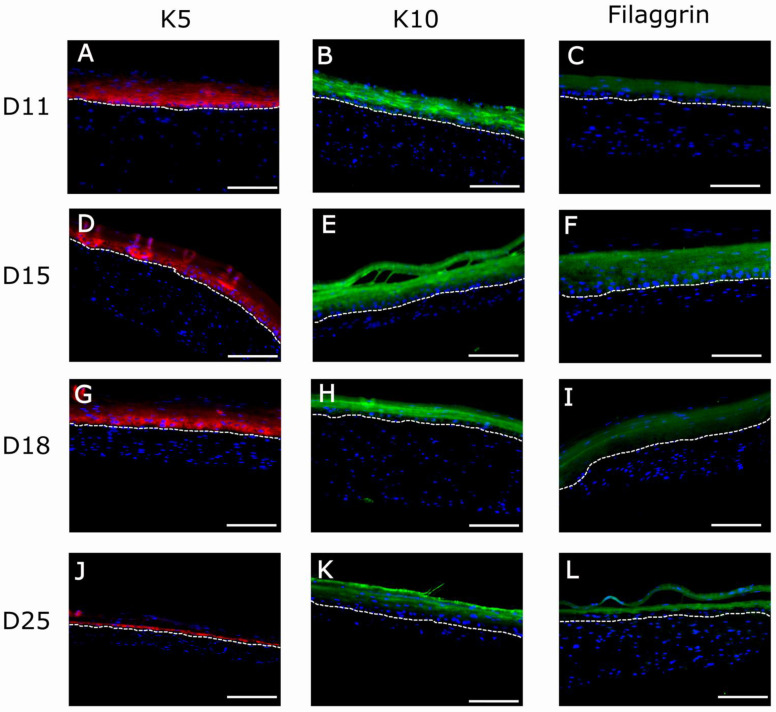 Figure 10