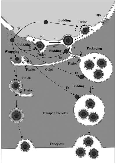 FIG. 9.