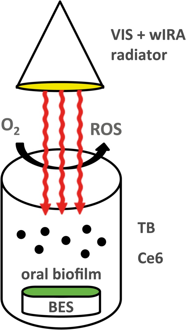 FIG 2