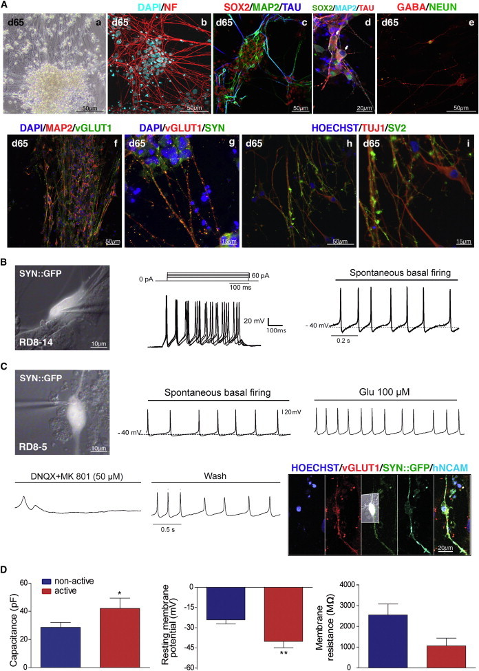 Figure 3