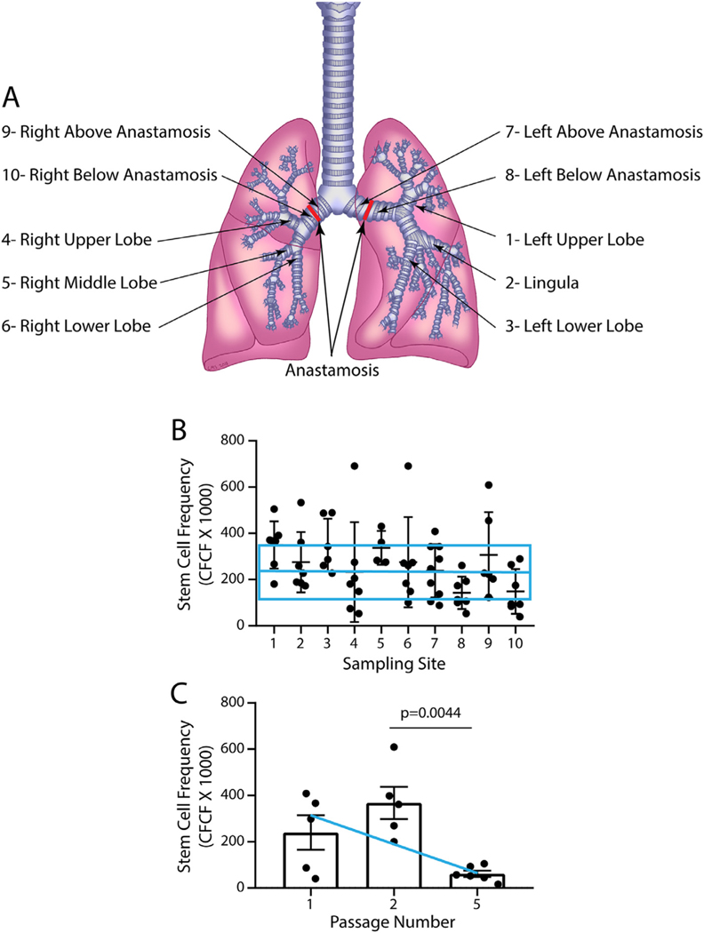 Fig 2.