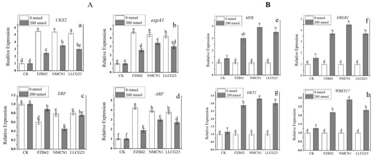 Figure 11