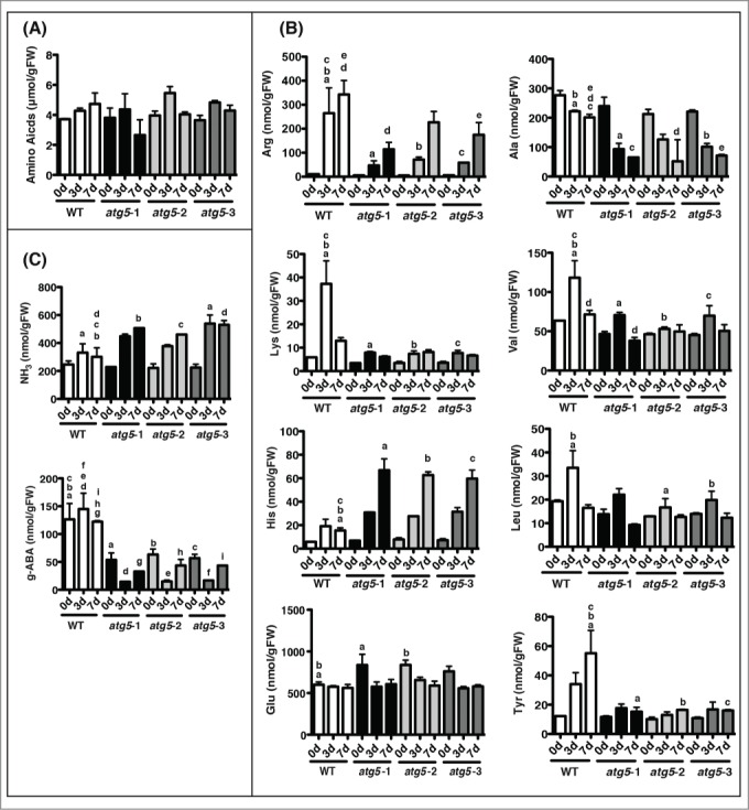 Figure 10.