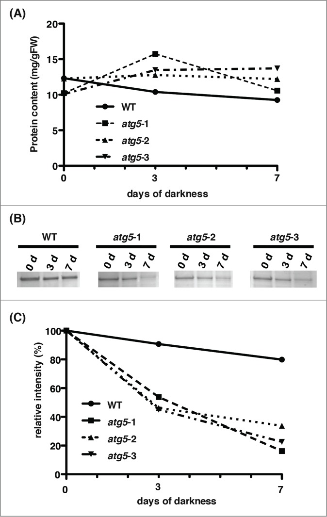 Figure 6.