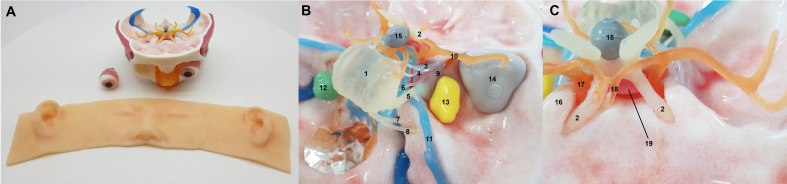 Figure 1