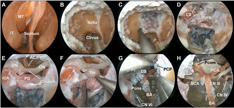 Figure 2