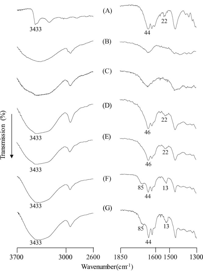 Fig. 5