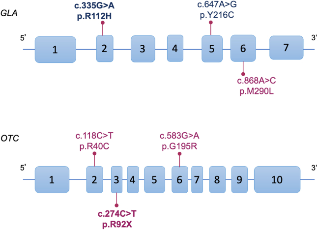 Figure 1