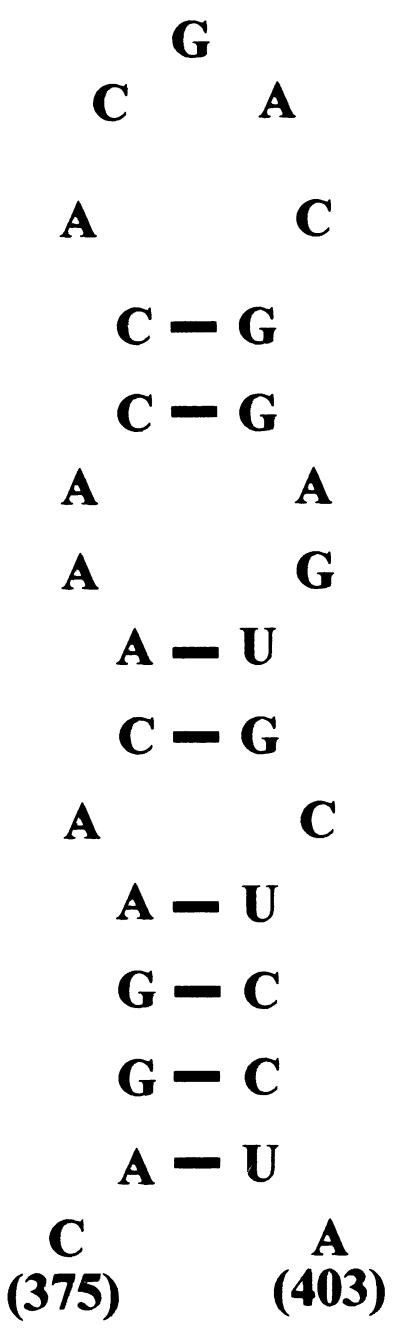 FIG. 10