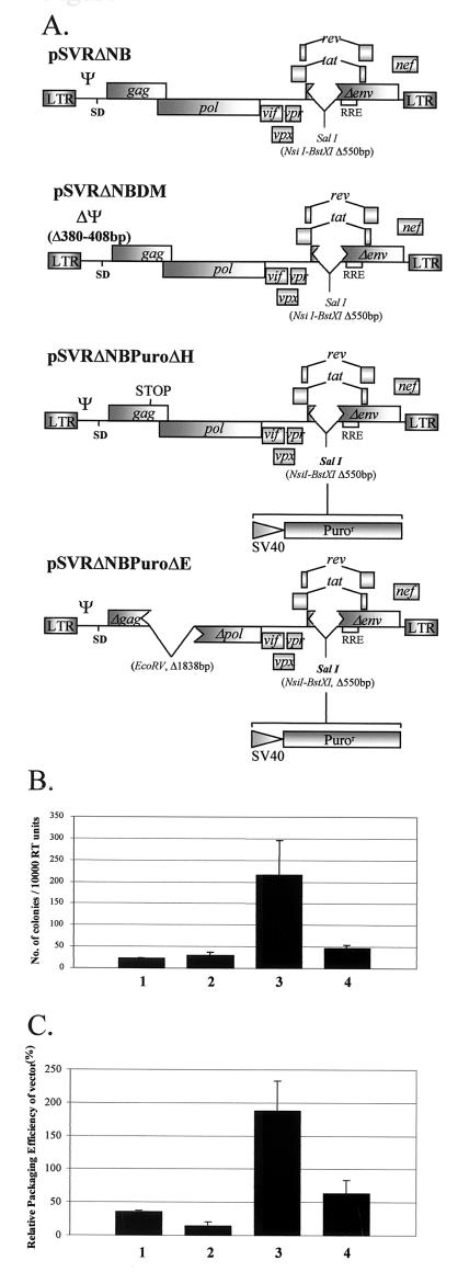 FIG. 7