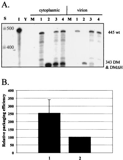 FIG. 5