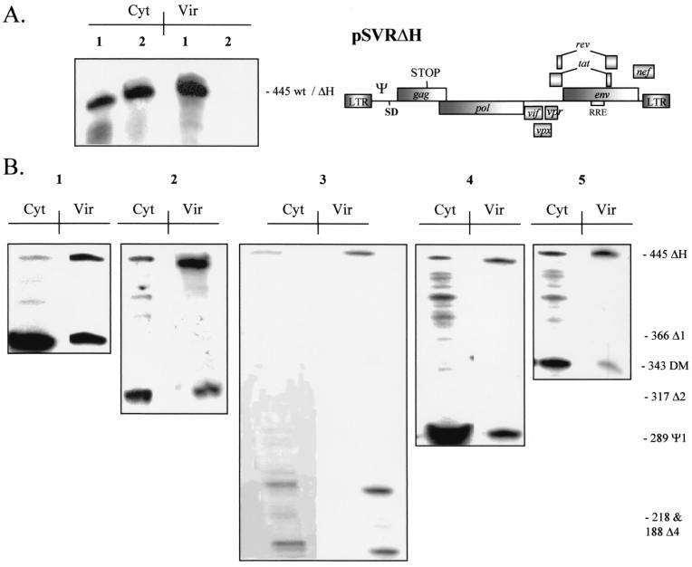 FIG. 6