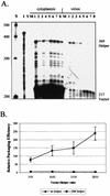FIG. 9