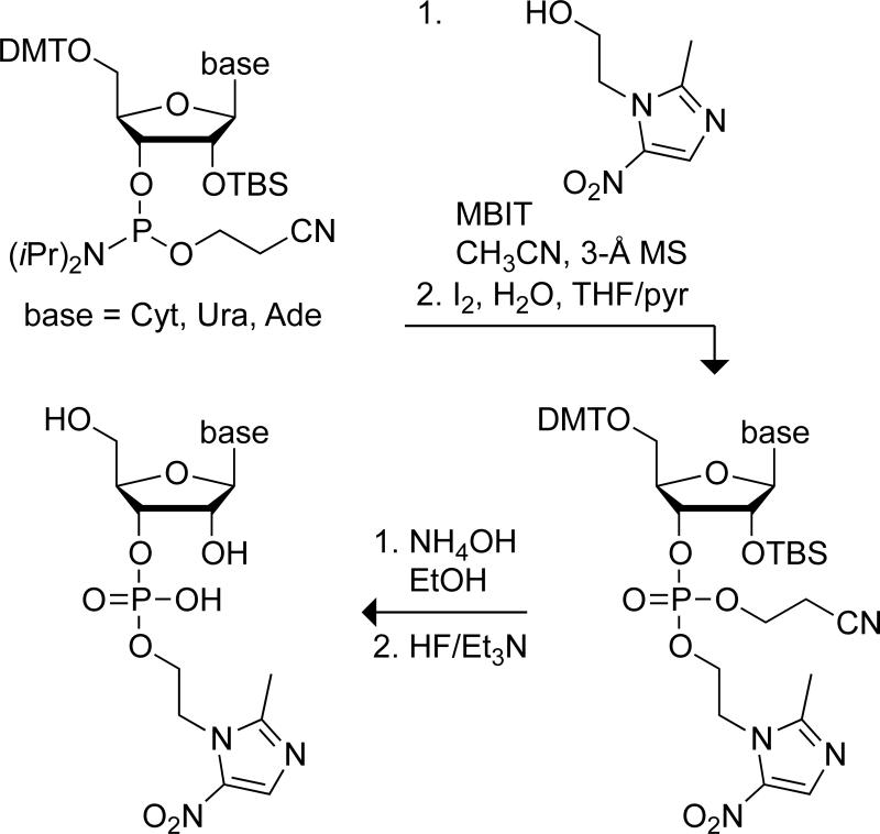 Scheme 1