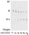 Fig. 11