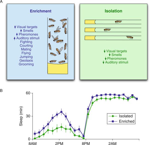 Figure 3.1