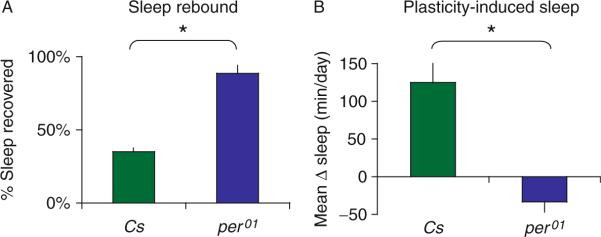 Figure 3.2