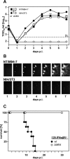 FIG. 2.