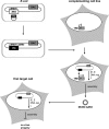 FIG. 1.