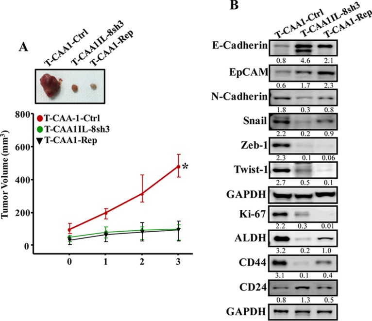 FIG 6