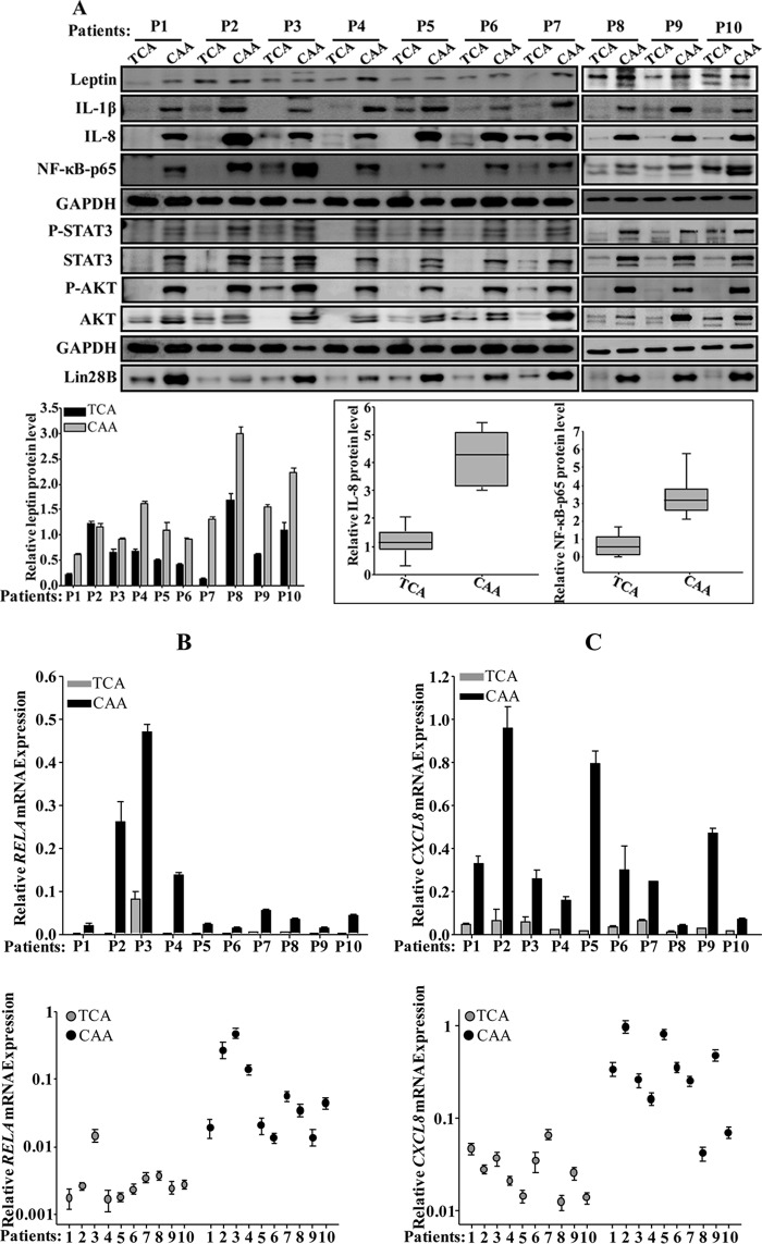 FIG 1